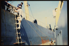Durban, September 1984. Pilot boarding ship in Durban Harbour. [T Robberts]