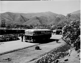 Barberton, 1954. SAR Albion buses arriving at station.