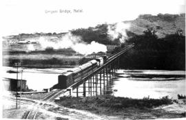 Natal. Train on bridge over the Umgeni River.