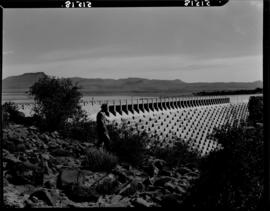 Graaff-Reinet, 1946. Van Ryneveldspas Dam.