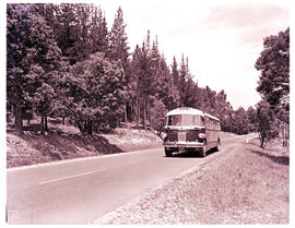 Knysna district, 1961. SAR Canadian Brill motor coach bus No MT6007.