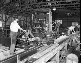 George, 1949. State saw mill.