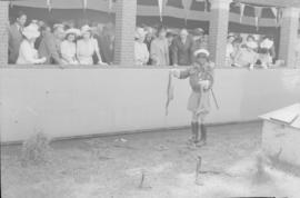 Port Elizabeth, 28 February 1947. Royal family visiting the snake park while snake handler Johann...