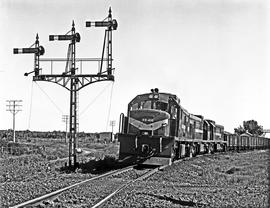 Kirkwood district, 1968. SAR Class 33-000 No 33-410 with goods train near Addo.