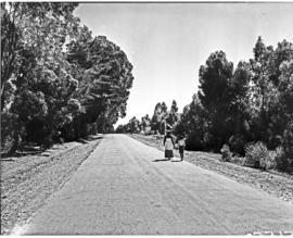 Port Elizabeth district, 1950. Kraggakamma Road.