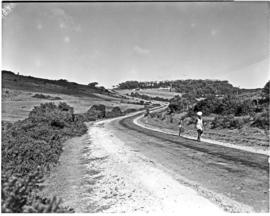 Port Elizabeth district, 1950. Seaview Road, heading up to Mount Pleasant.