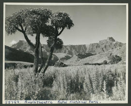 Drakensberg, 1948. Royal Natal National Park, Amphitheatre.