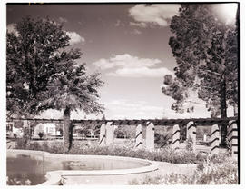 "Aliwal North, 1938. Public gardens."