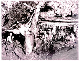 "Nelspruit district, 1970. Inside Sudwala caves."