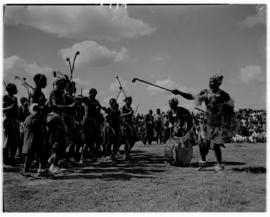 Nelspruit, 28 March 1947. Traditional dancers