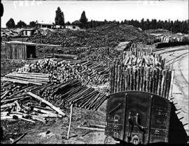 Tzaneen district, 1934. Duiwelskloof, Politsi timber siding.