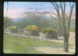 Thatched huts in traditional kraal.