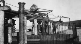 Wilderness, circa 1926. Wilderness bridge construction: Steel piles alongside temporary bridge. (...