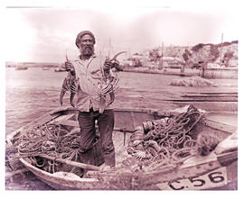 "Hermanus, 1967. Fishing boat with crayfish."