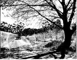 Caledon district, 1954. Elgin.