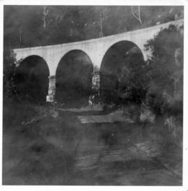 George district. Concrete arch bridge in Montagu Pass. (Lund collection)