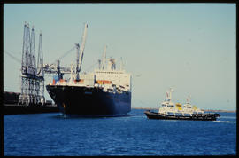 Port Elizabeth, September 1984. SAR tugs 'PJ Conradie' and 'Kobus Loubser' docking 'Ronsard' RoRo...