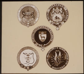 Medals of early South African railway companies.