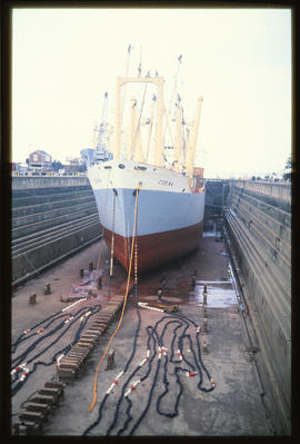 Durban, 1979. 'Corina' in dry dock in Durban Harbour.