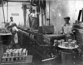 De Doorns. Workers with fruit steaming and canning machine.