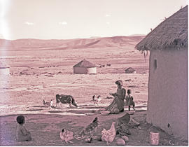 "Alice district, 1952. Native huts at Middeldrift."