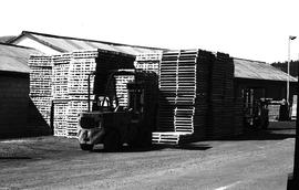 Cape Town, April 1971. Pile of empty pallets.