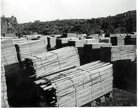 Tzaneen district, 1952. Sawn boards at Politsi saw mill.