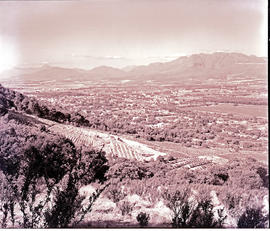 Paarl, 1950. Paarl valley.