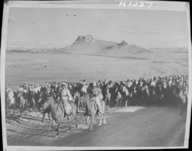 Basutoland, 11 March 1947. Horsemen on the way to the tribal meeting.