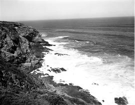 George district, 1979.  Coastline near Herolds Bay.