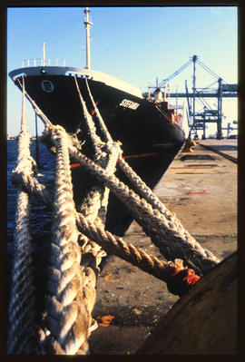Durban, 1990. 'Stephania' berthed in Durban Harbour.