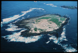 Port Elizabeth, July 1981. Aerial view of Bird Island and the lighthouse. [Jan Hoek]