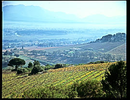 Paarl, 1980. View over town in late autumn.