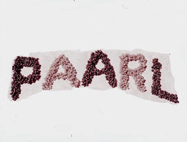 "Paarl, 1956. The word 'Paarl' packed out with grapes."