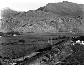 De Doorns, 1966. Goods train in the Hex River pass.
