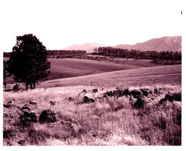 "Graskop district, 1968. Landscape near Mac-Mac pools."