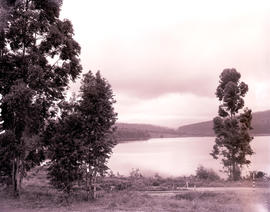 Tzaneen district, 1953. Merensky Dam.