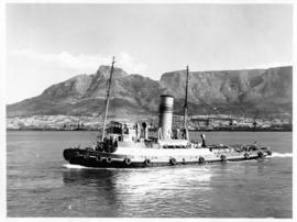 Tug "T McEwen" in Table Bay Harbour.