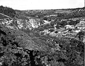Port Elizabeth, 1950. Overlooking Baakens river valley.