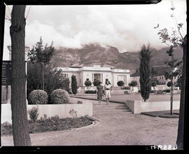 Cape Town, 1940. Gardens.