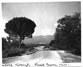 Tulbagh district, 1955. Country road.