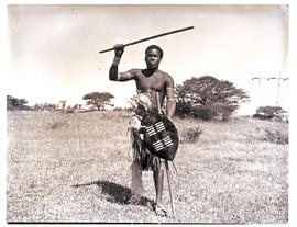 Natal, 1949. Zulu warrior.