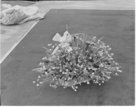 Cape Town, 1947. Floral arrangement of indigenous flowers.