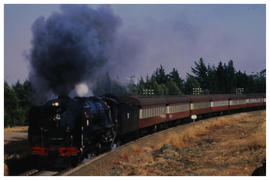 Ficksburg district, August 1987. SAR steam locomotive with passenger train near Kommansdosnek. [D...