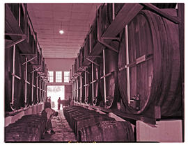 Paarl, 1947. KWV wine barrels for export.