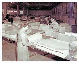 Springs, 1954. Paper and pulp factory interior.