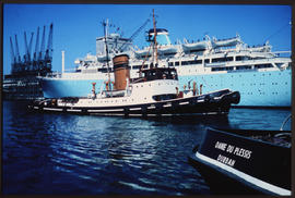 Durban, 1973. SAR tugs 'Danie du Plessis' and 'JR More' om Durban Harbour.
