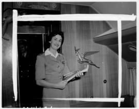 February 1958. SAA Douglas DC-7B interior. Hostess. Note Flying Springbok emblem.