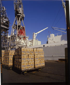 Durban, July 1986. Stacked boxes of Outspan oranges ready for export from Durban harbour. [Z Craf...