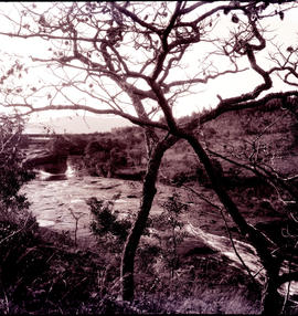 Tzaneen district, 1924. Ramadiepe River at Westfalia, Duiwelskloof.